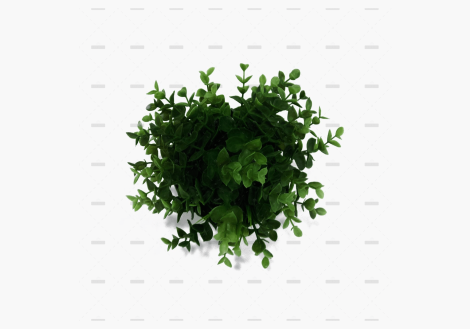 demo-attachment-667-nick-bitter-E6-kraJb7o4-unsplash-scaled